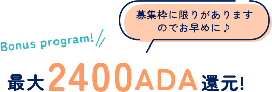 最大2,400ADA還元